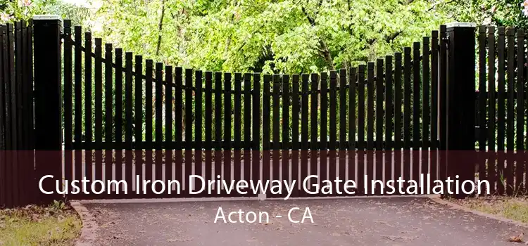 Custom Iron Driveway Gate Installation Acton - CA