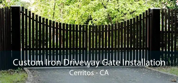 Custom Iron Driveway Gate Installation Cerritos - CA