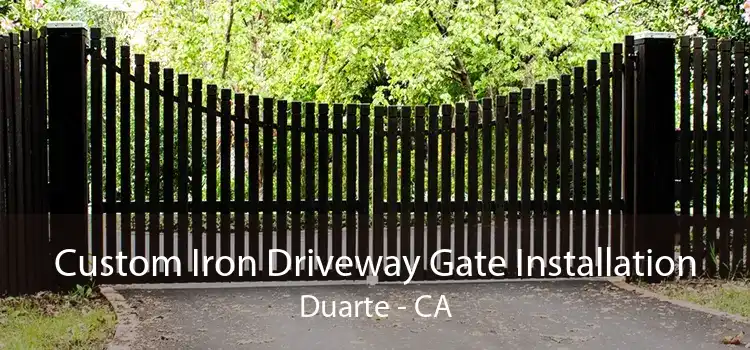 Custom Iron Driveway Gate Installation Duarte - CA