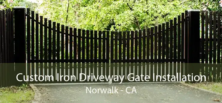 Custom Iron Driveway Gate Installation Norwalk - CA